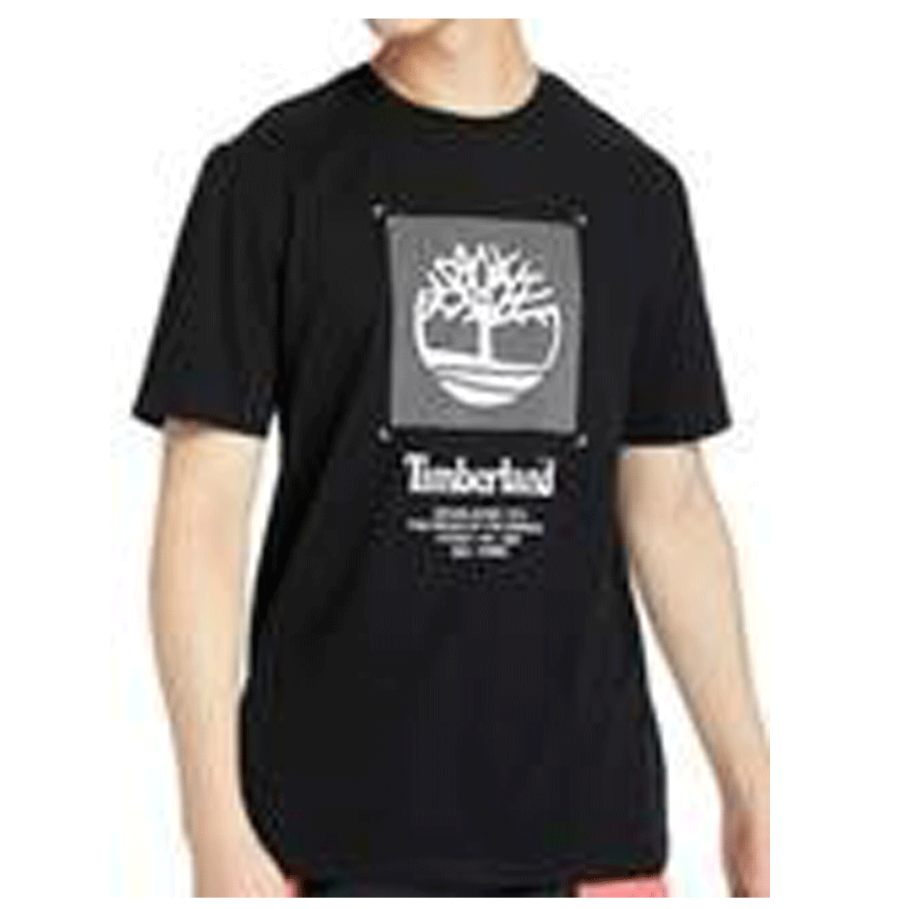 TIMBERLAND TFO YC SS FRONT BOX TEE BLACK TB0A2D62-001