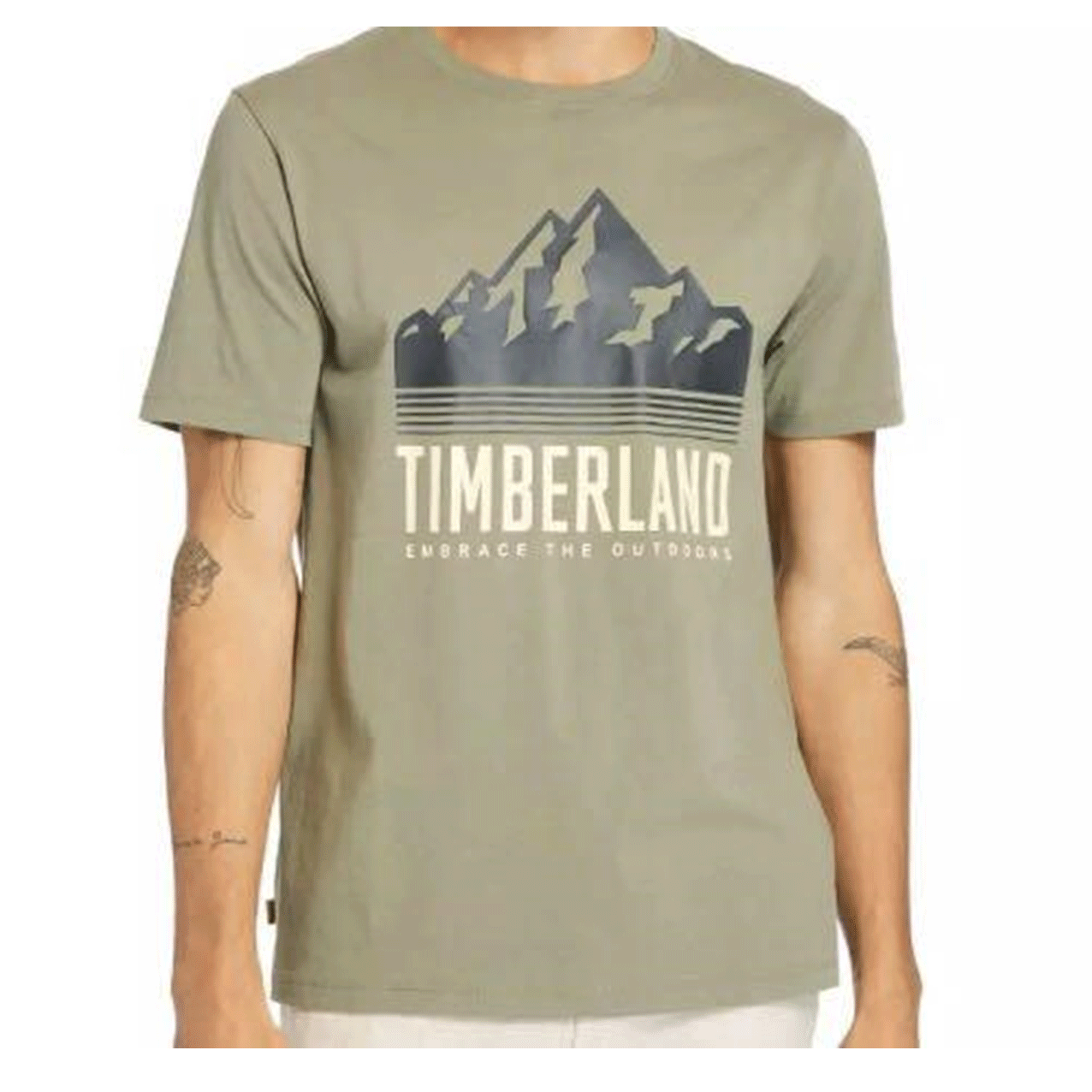 TIMBERLAND AF  LANDSCAPE TEE CASSEL EARTH TB0A24XE-590