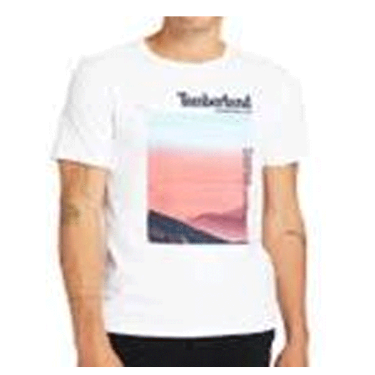 TIMBERLAND AF GRAPHIC TEE HORIZON WHITE TB0A24TB-100