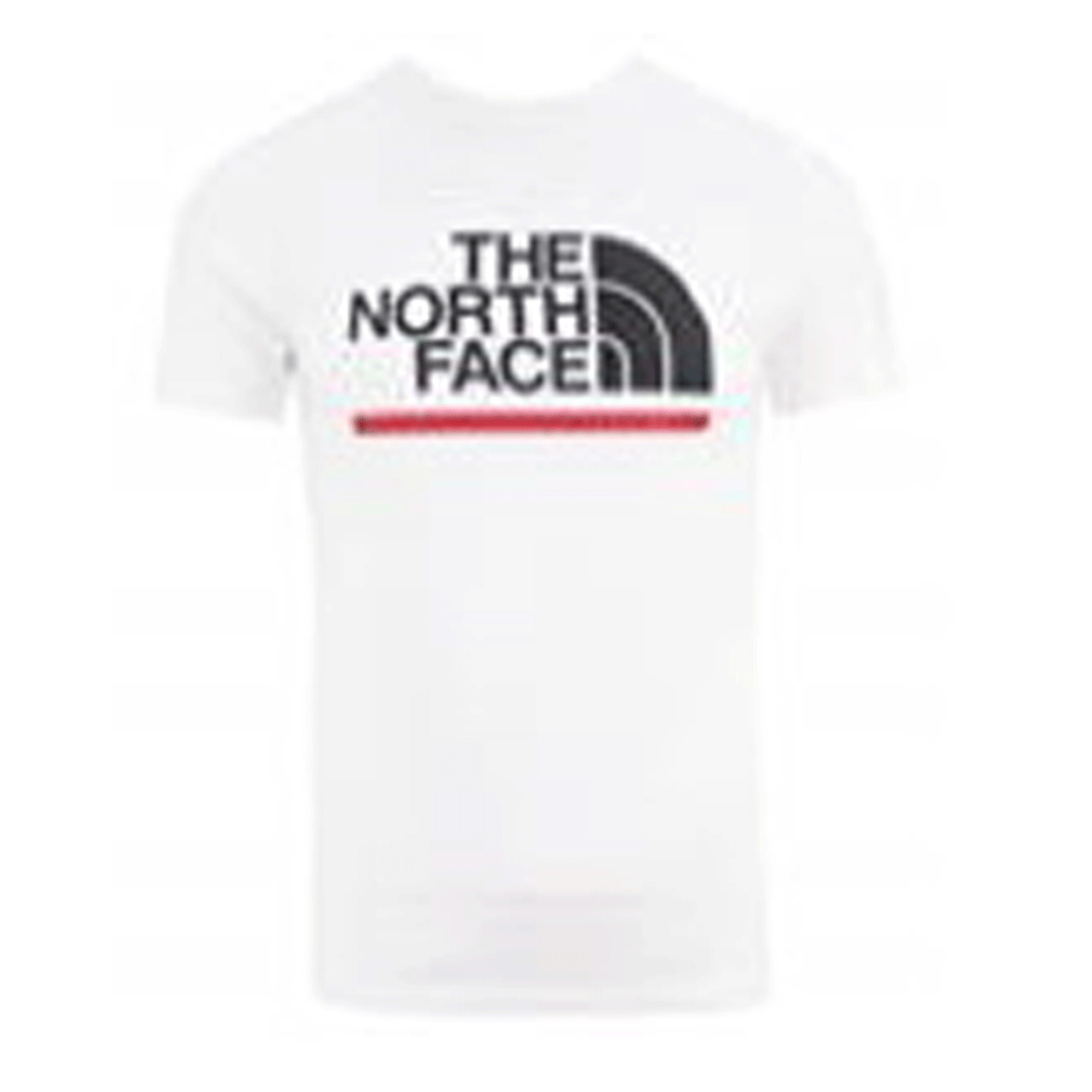 THE NORTH FACE OUTLINE TEE WHITE NF0A4SR3FN41