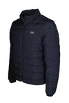 Lacoste Men’s Padded Jacket with Concealed Hood BH7774-00-423