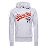 SUPERDRYVL SOURCE HOODIE L GREY M2011391A-5WB